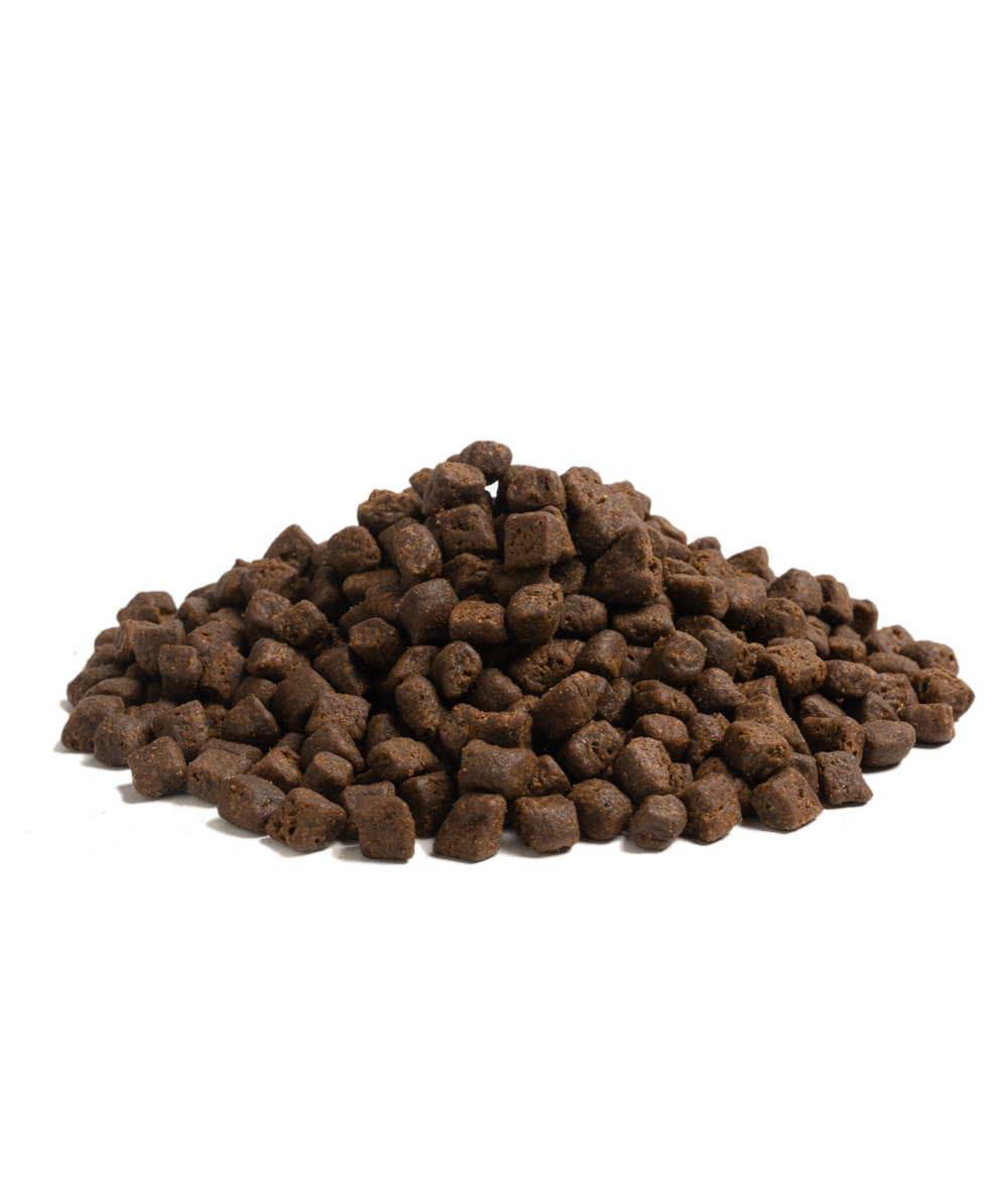 100G ESSENTIAL THE BEGINNING SMALL BREED (SAMPLE)