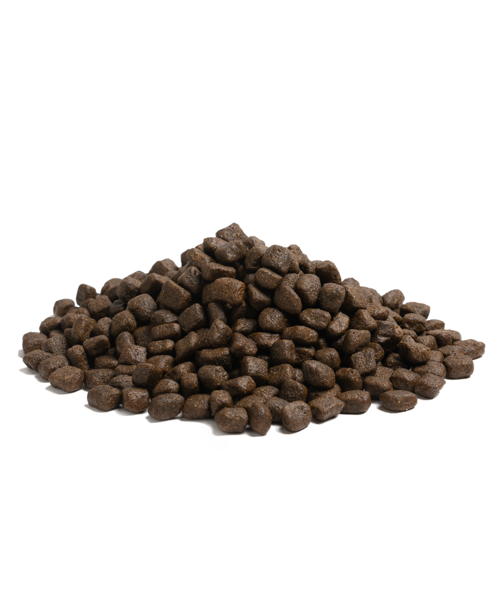 100G ESSENTIAL NAUTICAL LIVING (SAMPLE)