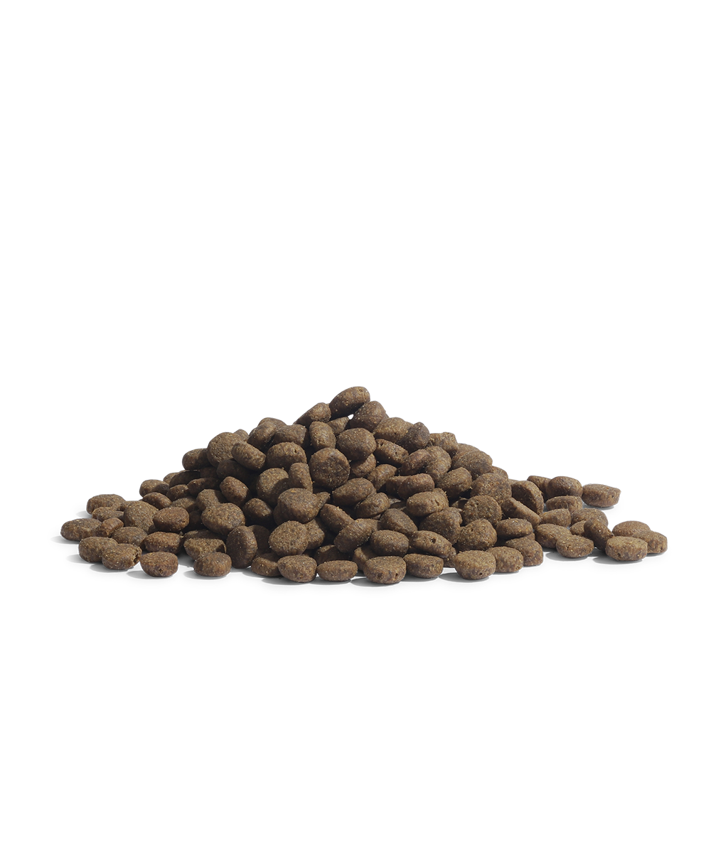 100G ESSENTIAL THE PANTHER (SAMPLE)