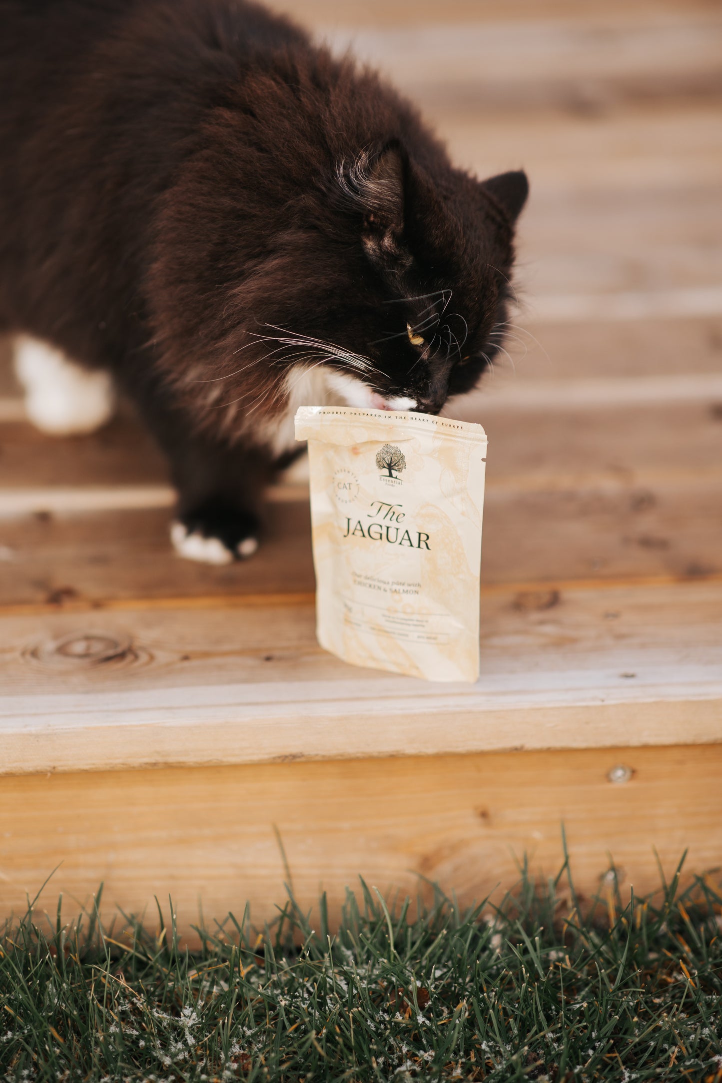 ESSENTIAL THE JAGUAR PATÉ, 12 PCS