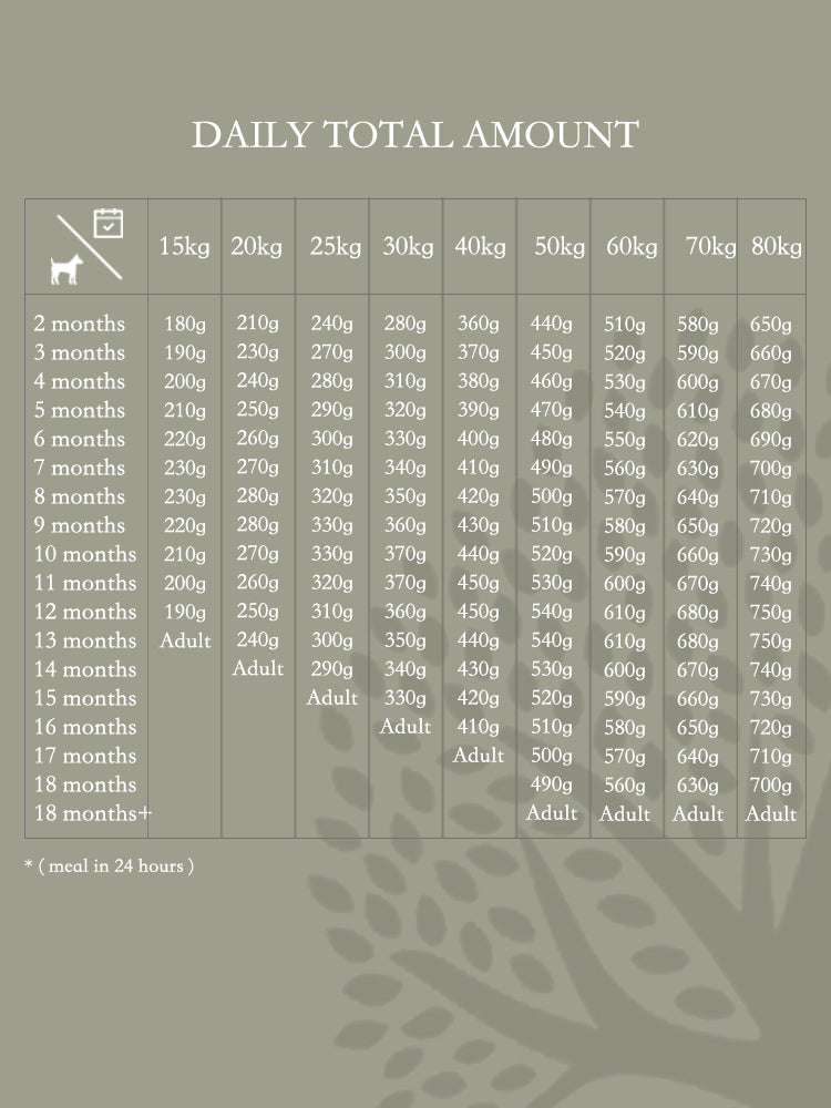 daily amount to feed 3