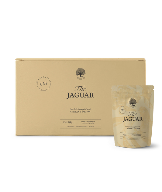 ESSENTIAL THE JAGUAR PATÉ, 12 PCS