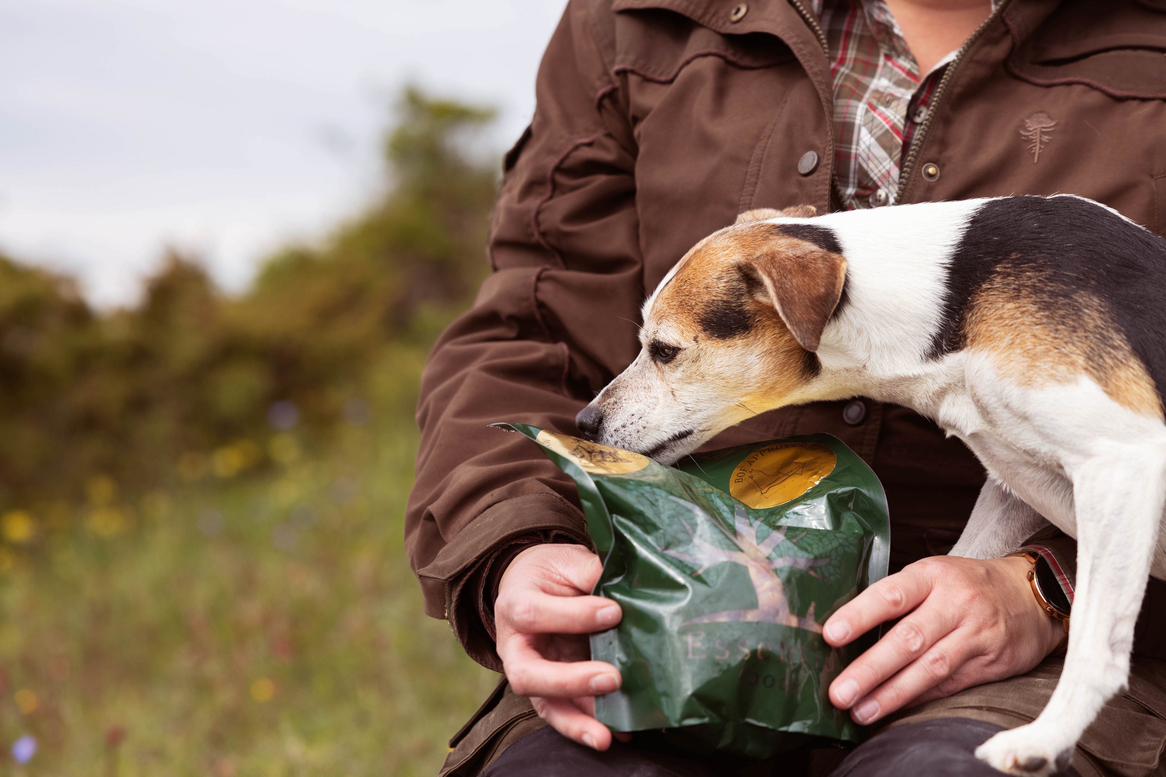 dog with essential food pack