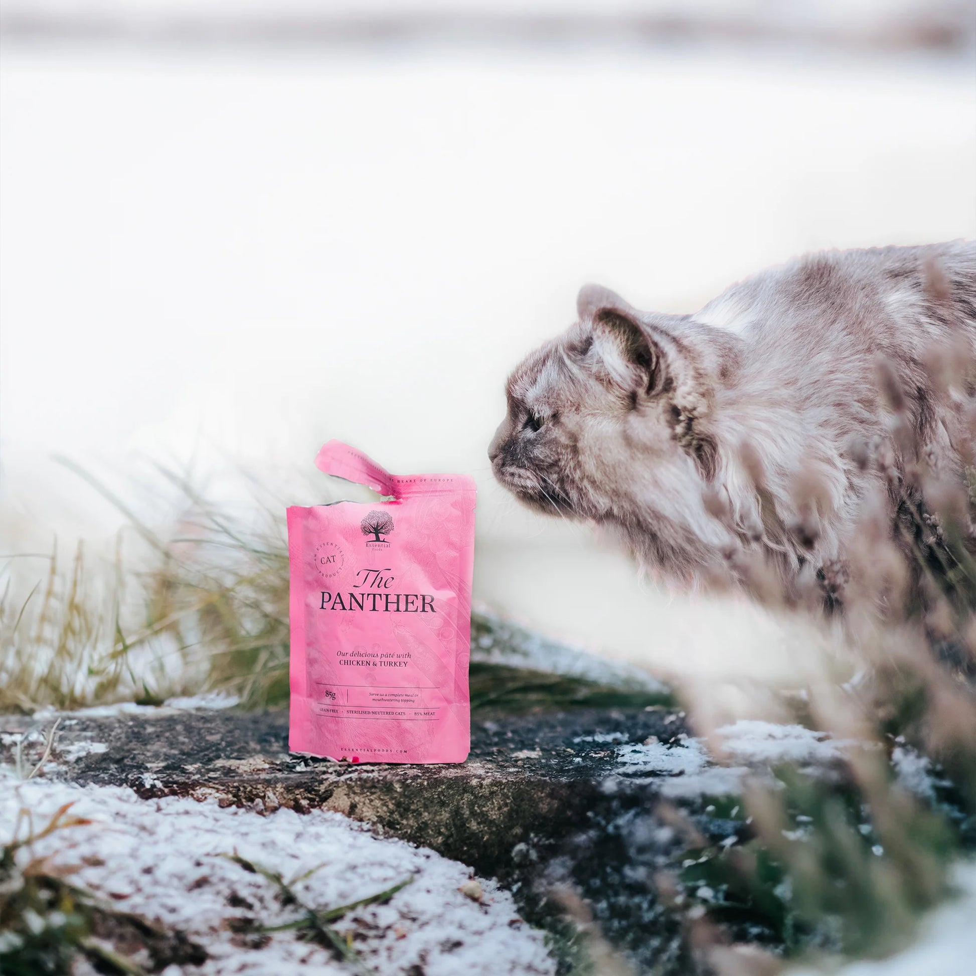 ESSENTIAL THE PANTHER PATÉ, 12 PCS