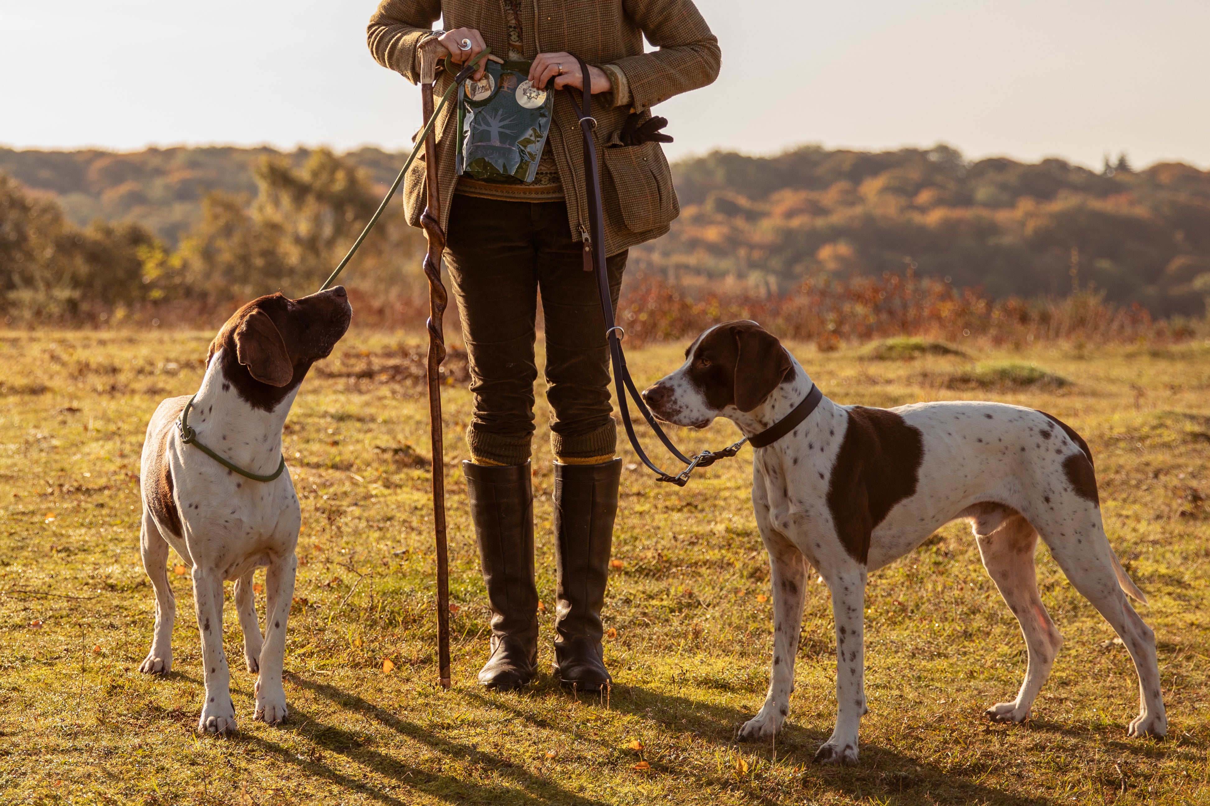 How Much Protein is Sufficient?