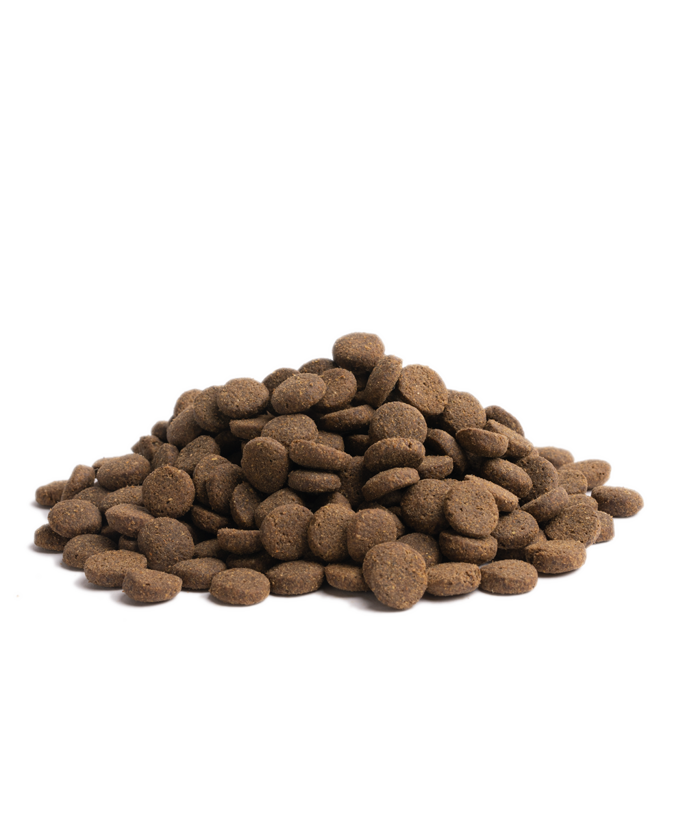 10KG Essential Estate Living Dry Dog Food Kibble Essential Foods Essential Foods SG