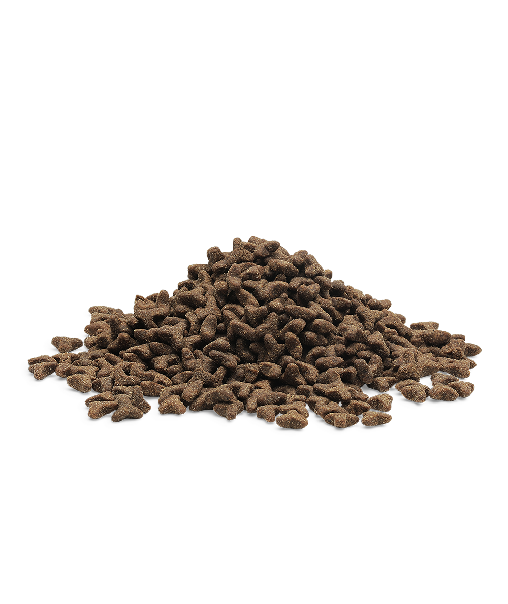 🎁 100G ESSENTIAL THE LITTLE LION (SAMPLE) (100% off)