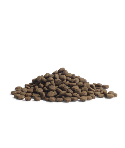 🎁 100G ESSENTIAL THE PANTHER (SAMPLE) (100% off)