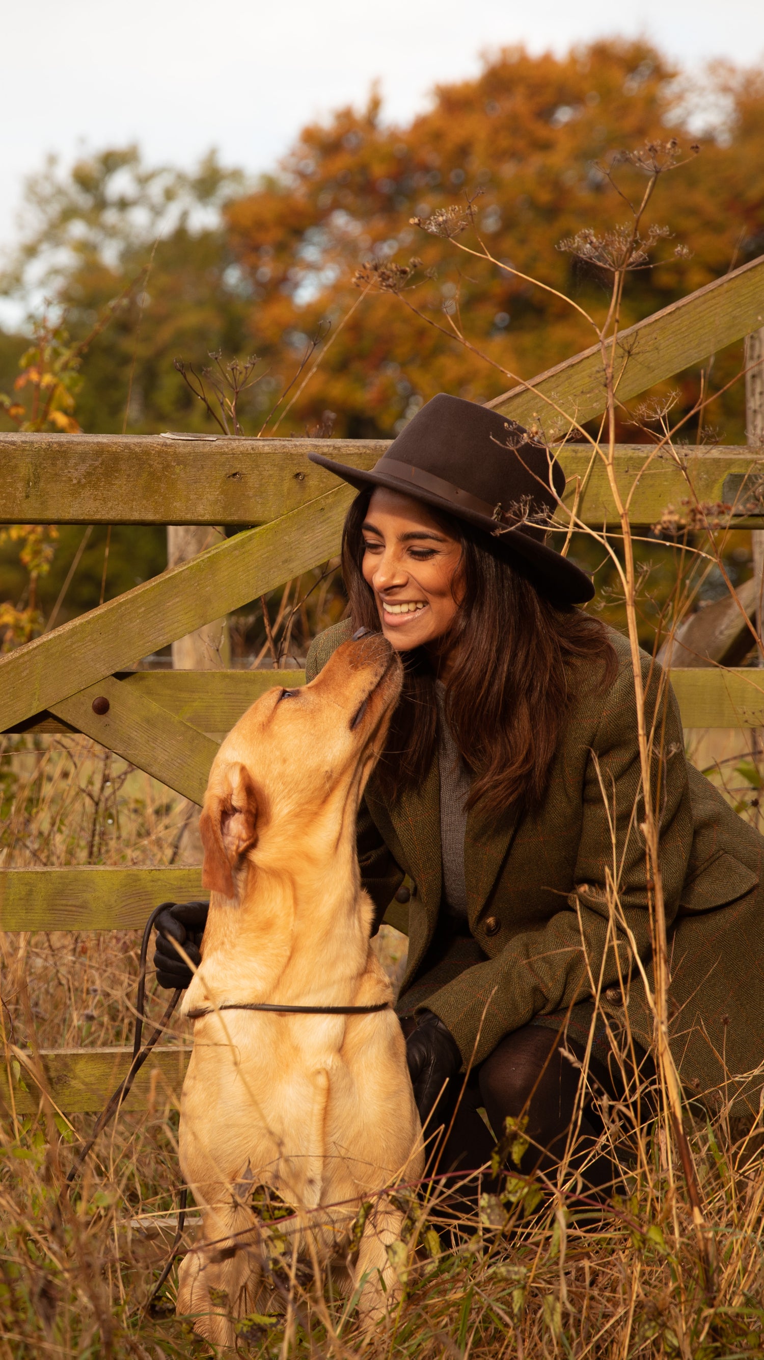 essential foods dog with owner banner image
