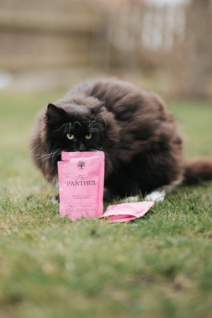 85G THE PANTHER PATE SAMPLE