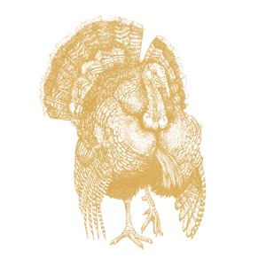 Five-freedom Turkey